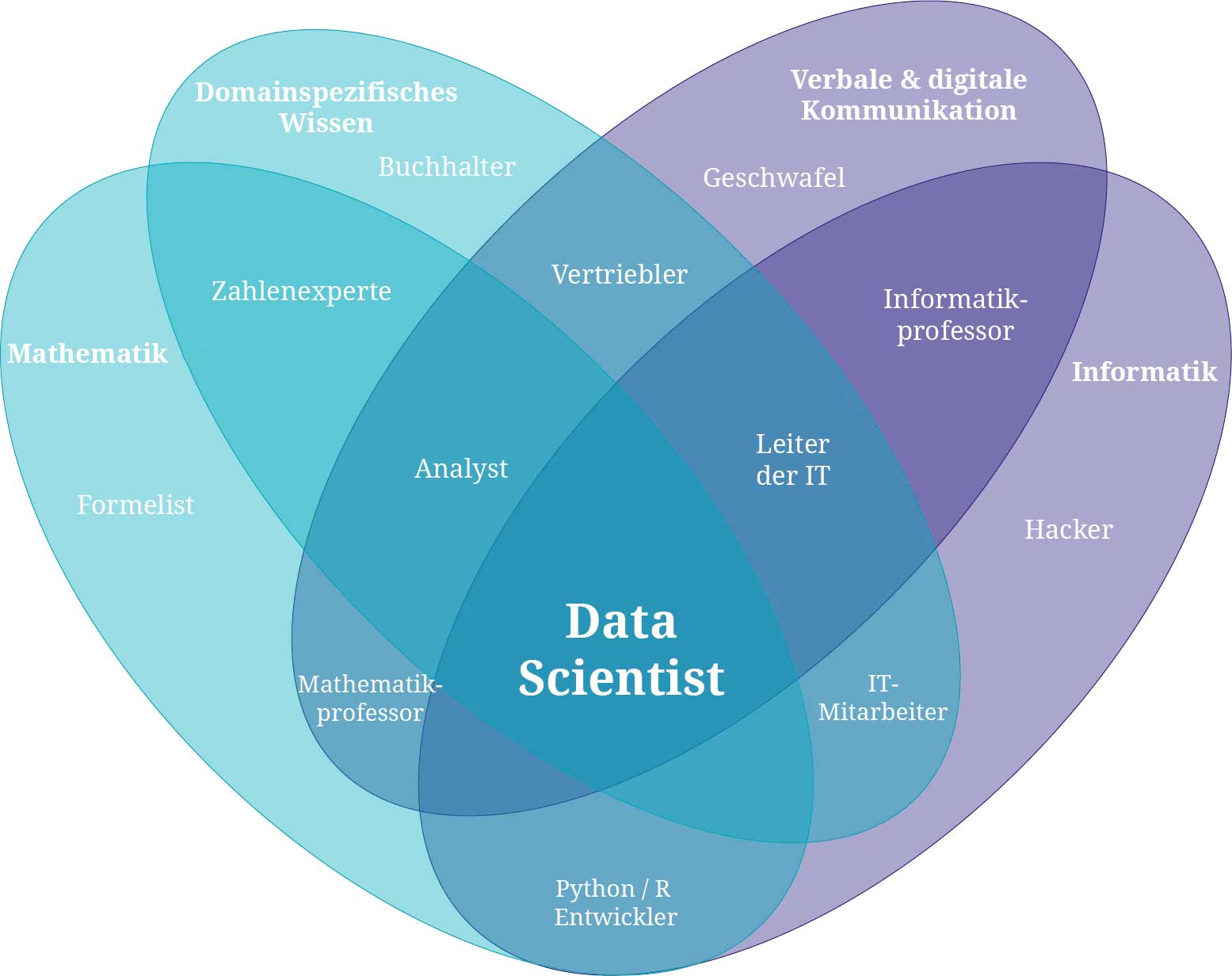 Diagramm der Datenwissenschaft, das die wichtigsten Säulen eines Datenwissenschaftlers zeigt.